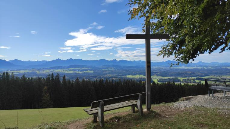 bench