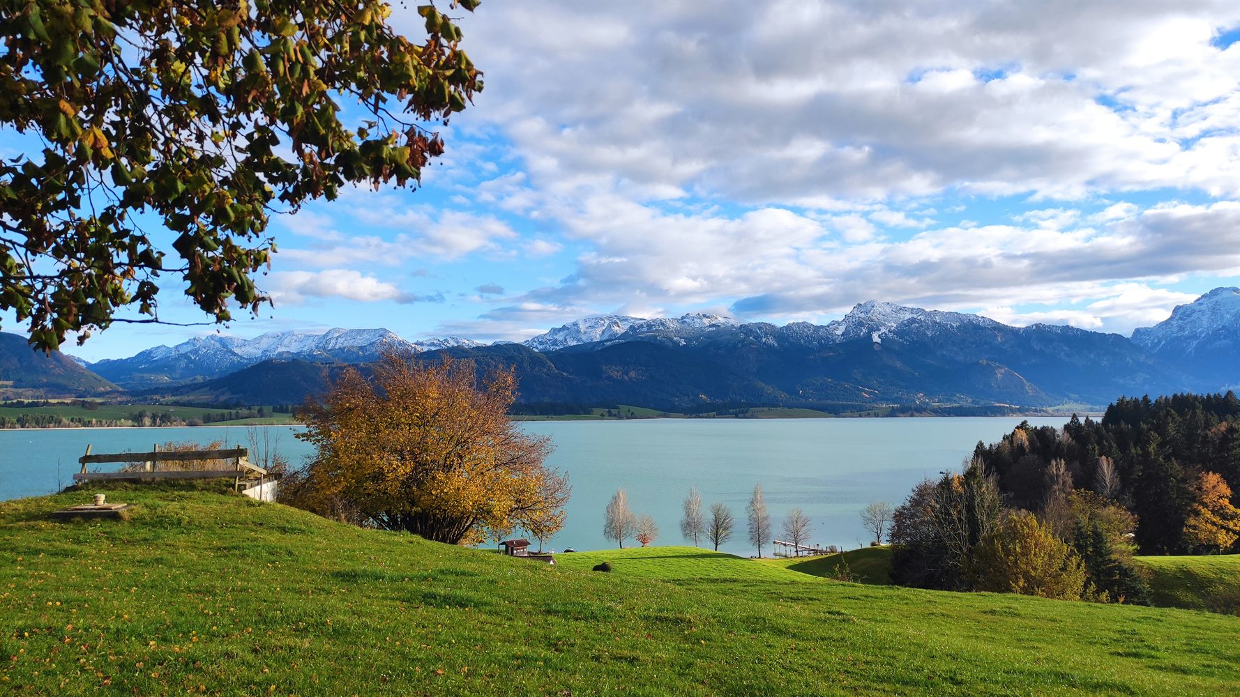 Forggensee