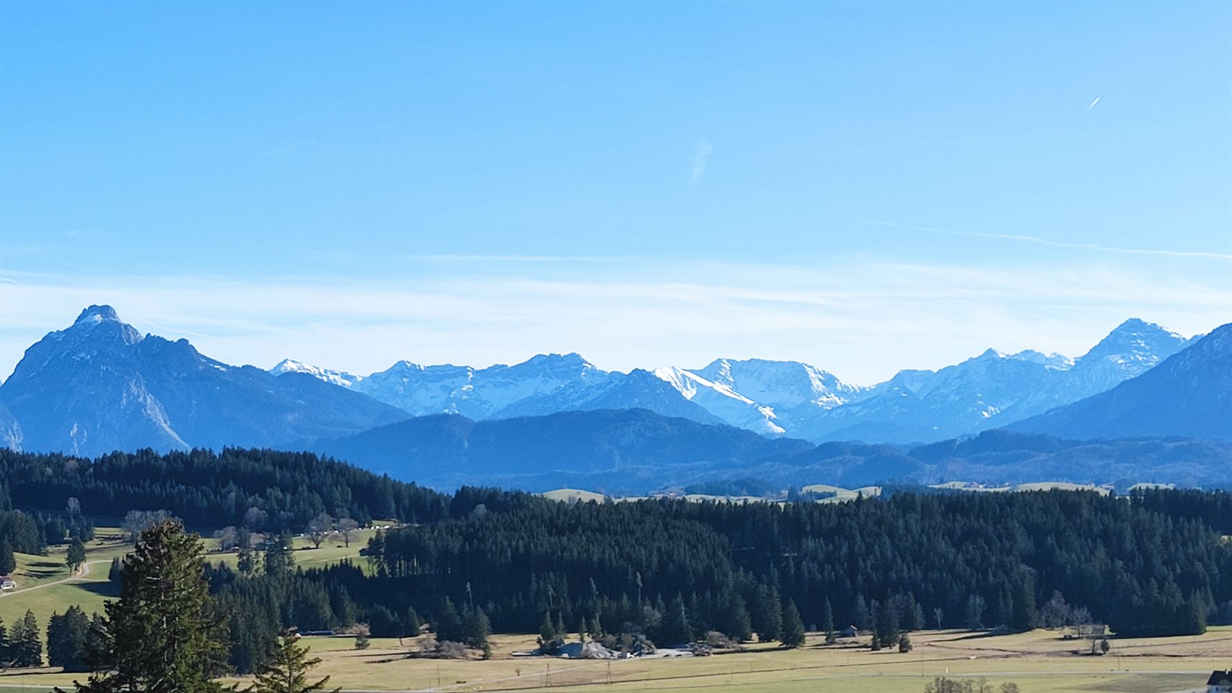 The Alps