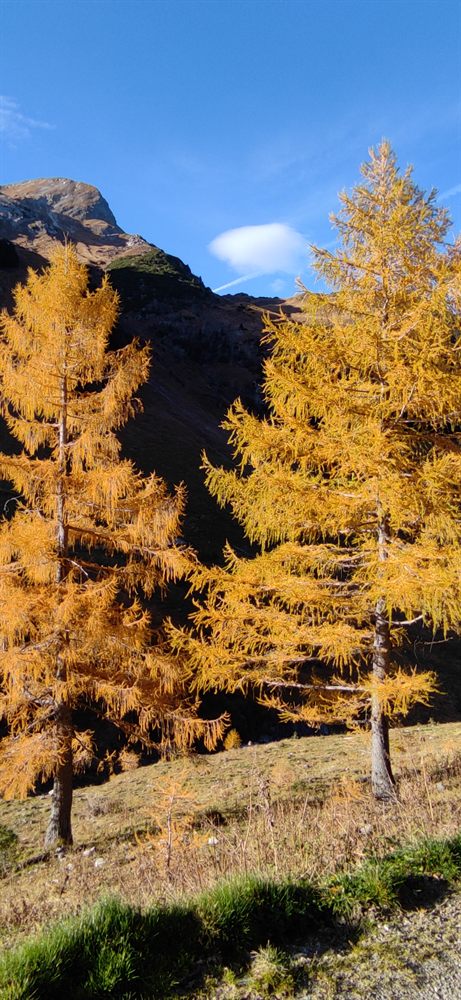 Fall