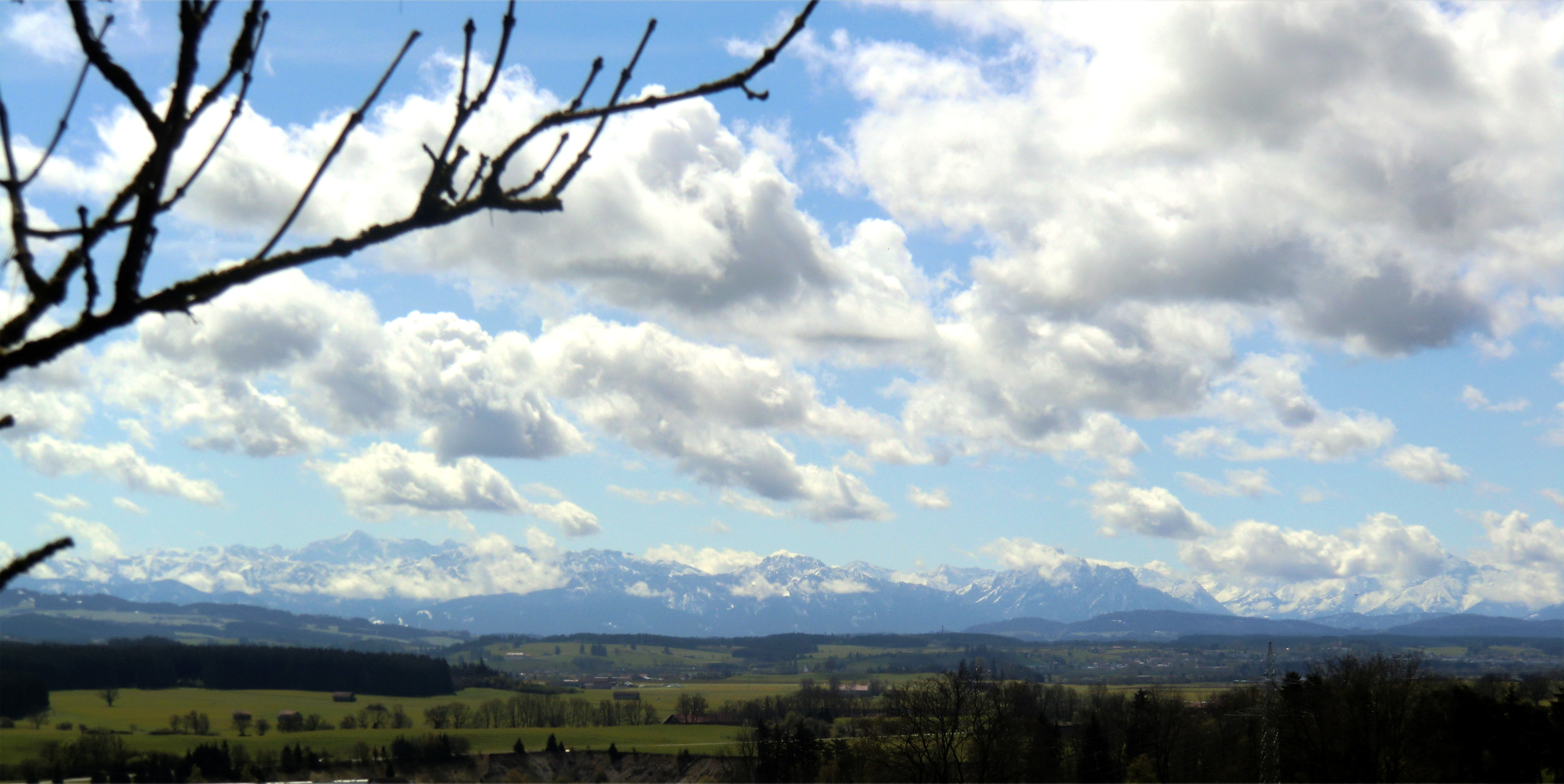View along the scenic walk